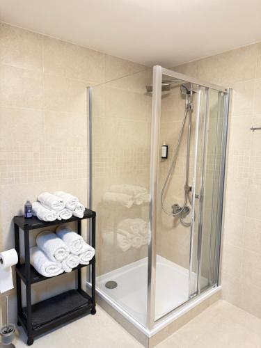 a bathroom with a shower and a walk in shower at FamilyVilla, new 4 Luxury Big Apartments, parking in Prague