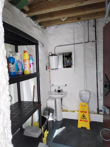 a small bathroom with a sink and a toilet at The Burren Art Gallery built in 1798 in Tubber