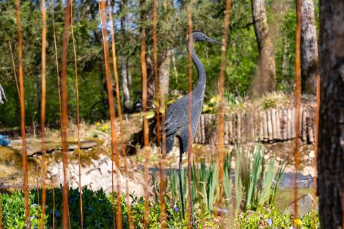 a bird standing in the middle of a pond at Gite Havre de Soy in Soy