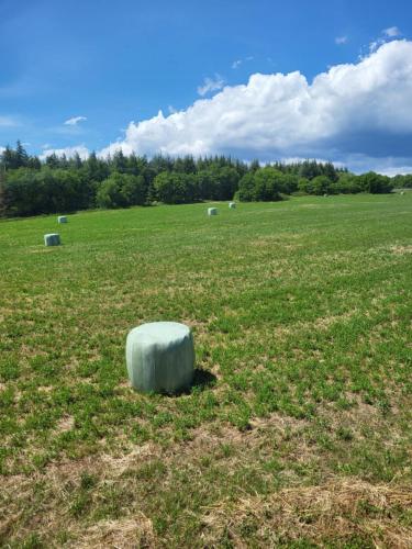 un grand champ herbeux avec un gros rocher au milieu dans l'établissement A la campagne, à Saint-Denis