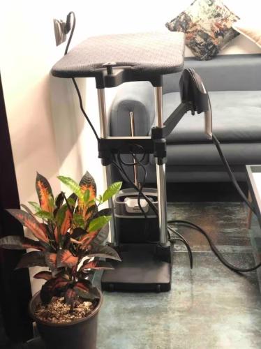 a lamp sitting on a table next to a plant at Well equipped apartment with luxurious interior furnishings in Tangier