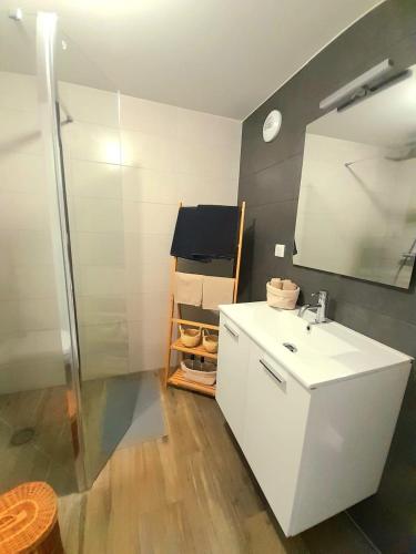 une salle de bain avec un lavabo blanc et un miroir dans l'établissement Le 11 - Terrasse et jardin à 10 minutes à pieds du centre-ville, à Strasbourg