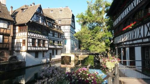Le 11 - Terrasse et jardin à 10 minutes à pieds du centre-ville