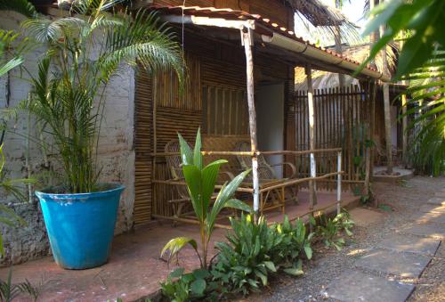 a house with a bunch of plants in front of it at Neon Chameleon in Canacona