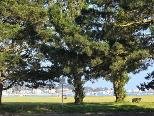 two trees in a park with a dog in the grass at Catalina19 Guest House in Poole