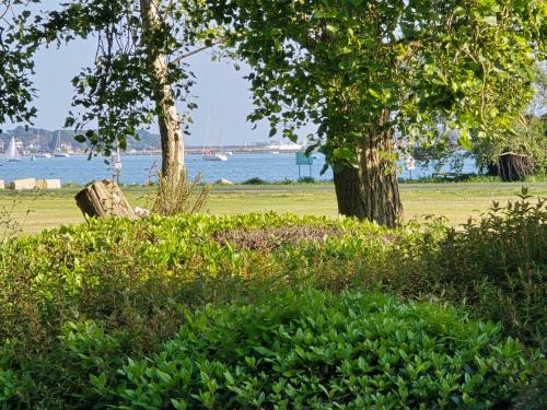 a park with a bench and trees and the water at Catalina19 Guest House in Poole