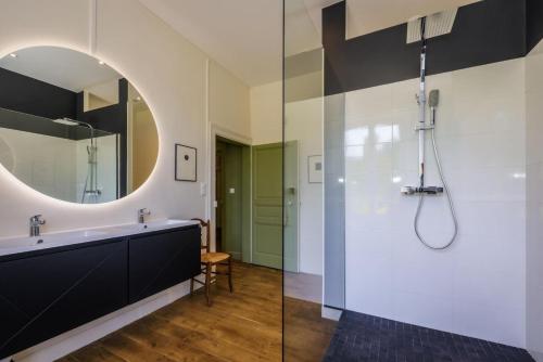 a bathroom with a shower and a large mirror at Le petit chateau in Vicq-sur-Breuilh