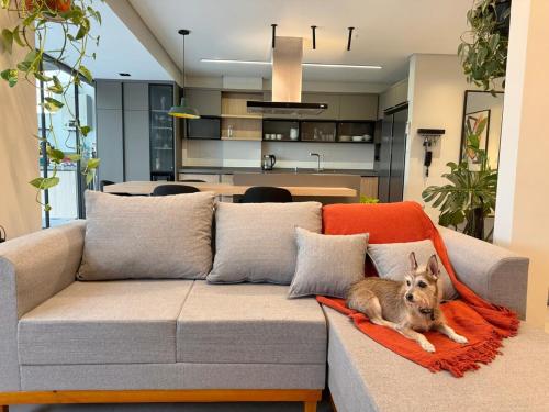 a dog laying on a couch in a living room at Apê Sunshine| Terraço| Interação com animais in Florianópolis