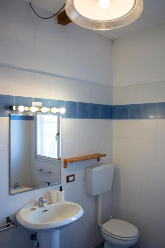 a bathroom with a toilet and a sink and a mirror at Agriturismo Valpagliaro in Formignana