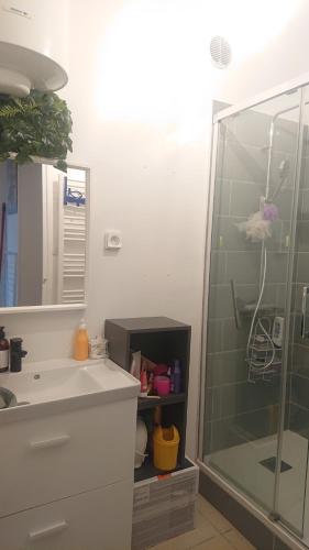 une salle de bain avec une douche, un lavabo et un miroir dans l'établissement St Charles / La Friche, à Marseille