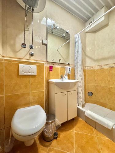 a bathroom with a toilet and a sink and a shower at Contessa Apartments in Budva