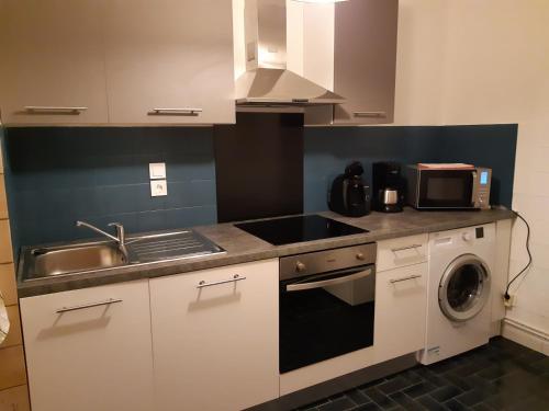 une cuisine avec un évier et une machine à laver dans l'établissement Résidence oceane, à Amélie-les-Bains-Palalda