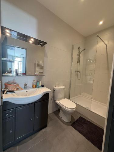 une salle de bain avec un lavabo, des toilettes et une douche dans l'établissement Appartement au cœur du Vieil Antibes, à Antibes