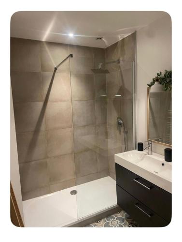 une salle de bain avec une douche avec un lavabo et un miroir dans l'établissement Une Terrasse aux Chartrons, à Bordeaux
