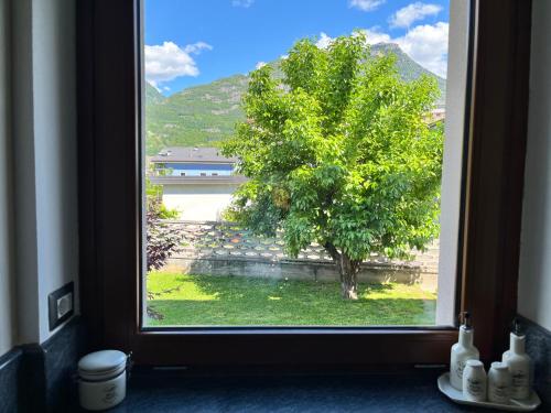a view of a tree from a window at Casa Dolce Casa in Masera