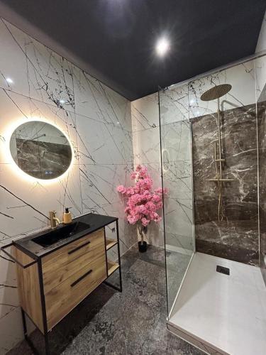 une salle de bain avec un lavabo et une douche dans l'établissement Le Prestige Spa jacuzzi et sauna traditionnel, à Mulhouse