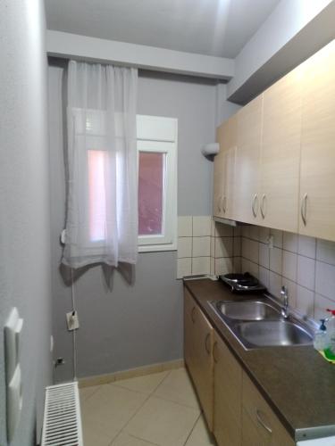 a small kitchen with a sink and a window at Tzamtzis Apartments in Keramoti