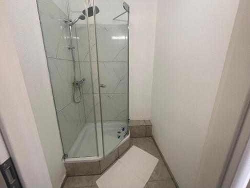 ハノーファーにあるCity Group Apartmentの浴室のガラス扉付きシャワー
