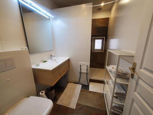 une salle de bain avec un lavabo, des toilettes et un miroir dans l'établissement Bienvenue à Sanary ! A deux pas du port, à Sanary-sur-Mer