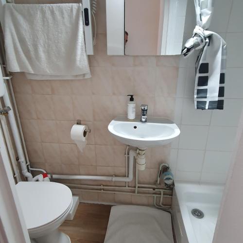 Appartement au cœur de Paris