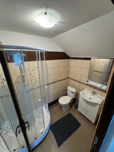 a bathroom with a shower and a toilet and a sink at La Luca in Maliuc