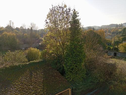 - une vue sur le jardin avec un arbre dans l'établissement viva normandie, à Sainte-Gauburge-Sainte-Colombe