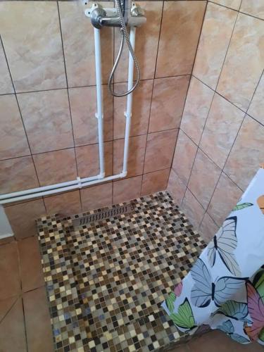 a shower in a bathroom with a tile floor at Casa BELLA ELENA in Văleni
