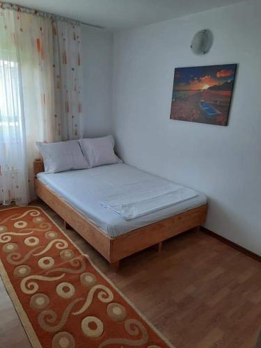 a bedroom with a bed in a room with a rug at Casa BELLA ELENA in Văleni