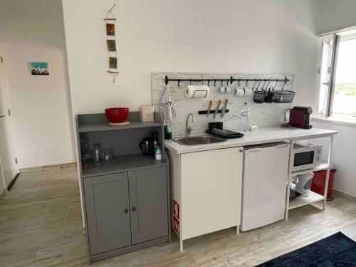 Η κουζίνα ή μικρή κουζίνα στο Spacious Studio in Sunny Villa Minutes to Beach