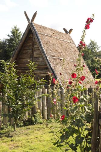 une vieille maison avec un toit de chaume et des roses rouges dans l'établissement Hutte viking, à Pleine-Fougères