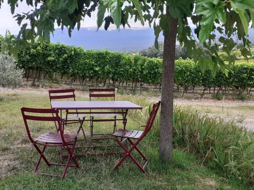 une table et deux chaises assises à côté d'un arbre dans l'établissement Petit gîte et Grande piscine, à Blauvac