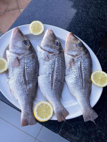ホテルの敷地内または近くでの食事または食べ物