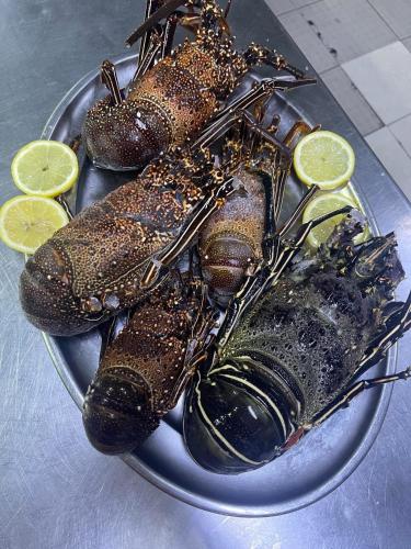 ホテルの敷地内または近くでの食事または食べ物