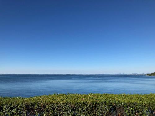 a view of a large body of water at Appartamenti Villa Andrea in Garda