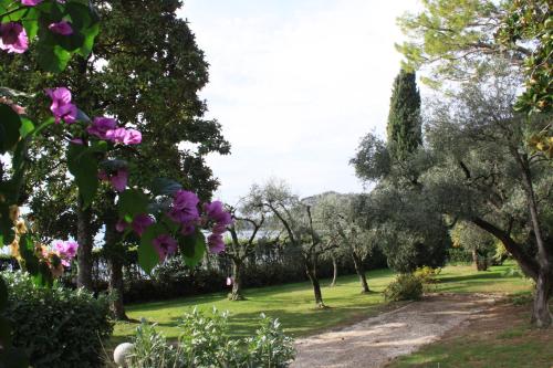 a garden with trees and purple flowers on a path at Appartamenti Villa Andrea in Garda