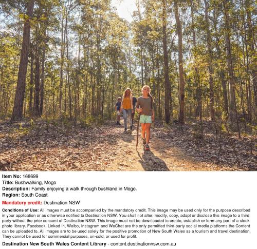 two people walking on a trail in the woods at Moruya Holiday Park in Moruya