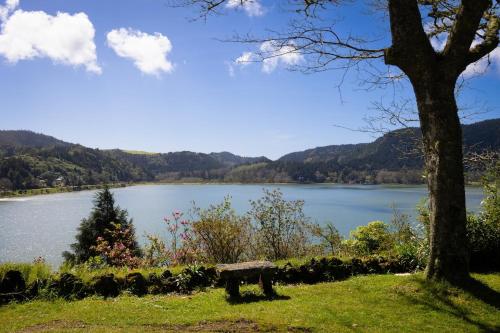 a bench sitting next to a tree next to a lake at GuestReady - Unique Lake Casa do Gar in Furnas