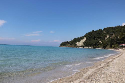 a beach with a rocky shore and the ocean at Elia in Skála Foúrkas