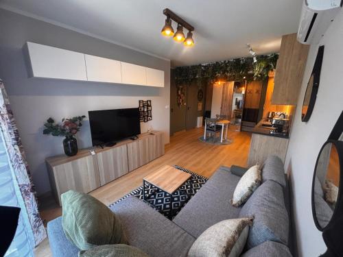a living room with a couch and a tv at Oliwkowy - stylowy Apartament w naturalnym klimacie in Częstochowa