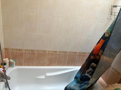 La salle de bains est pourvue d'une baignoire avec rideau de douche. dans l'établissement Très beau T2, à Ozoir-la-Ferrière