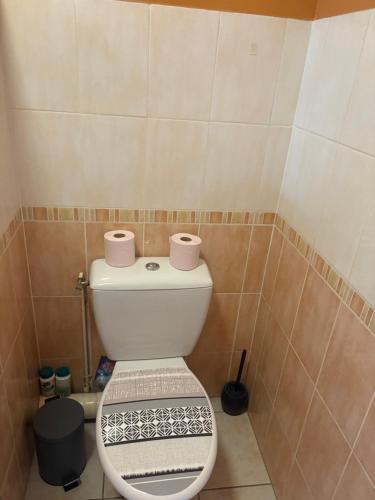 La salle de bains est pourvue de toilettes et de 2 rouleaux de papier toilette. dans l'établissement Très beau T2, à Ozoir-la-Ferrière