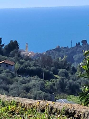 auliculiculiculiculiculiculiculiculiculiculiculiculiculiculic at VistaBlu Bussana in Arma di Taggia