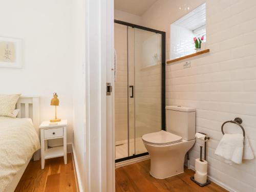 a small bathroom with a toilet and a shower at Old Orchard Barn in Saltash