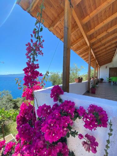 un ramo de flores rosas en una pared en Small house, Sarandë, en Sarandë