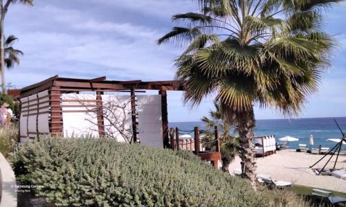 a palm tree in front of a building with the ocean at Beach&Golf suites in El Bedito