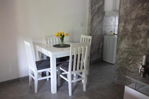 Küche/Küchenzeile in der Unterkunft Apartmani Dejavu na Drini
