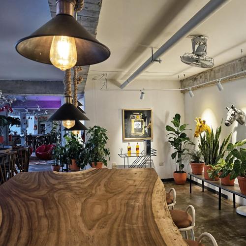 Don Hostel في فيلافيسينسيو: طاولة كبيرة في غرفة بها نباتات مزروعة في أصص