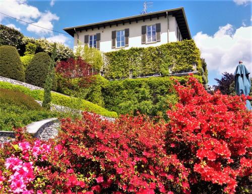 a house with bushes and flowers in front of it at Casa Santo Stefano in Cernobbio