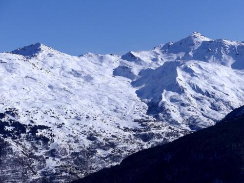 a snow covered mountain with trees in front of it at Le Chardon Vert in Valmeinier