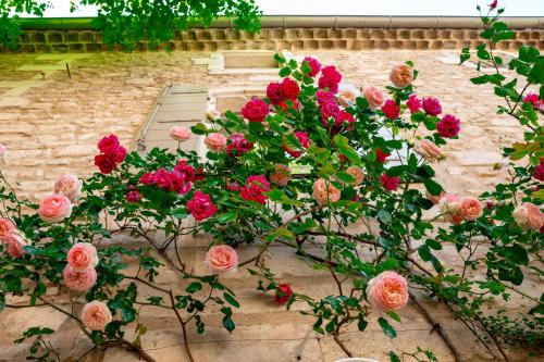a bunch of pink roses in front of a grate at La Maison du Village in Saint-Rémy-de-Provence